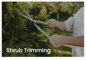 shrub-trimming